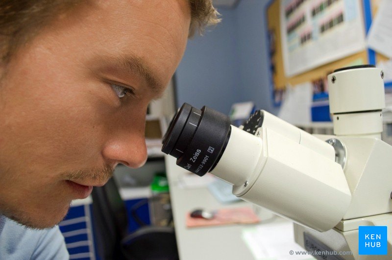 'Scientist'
