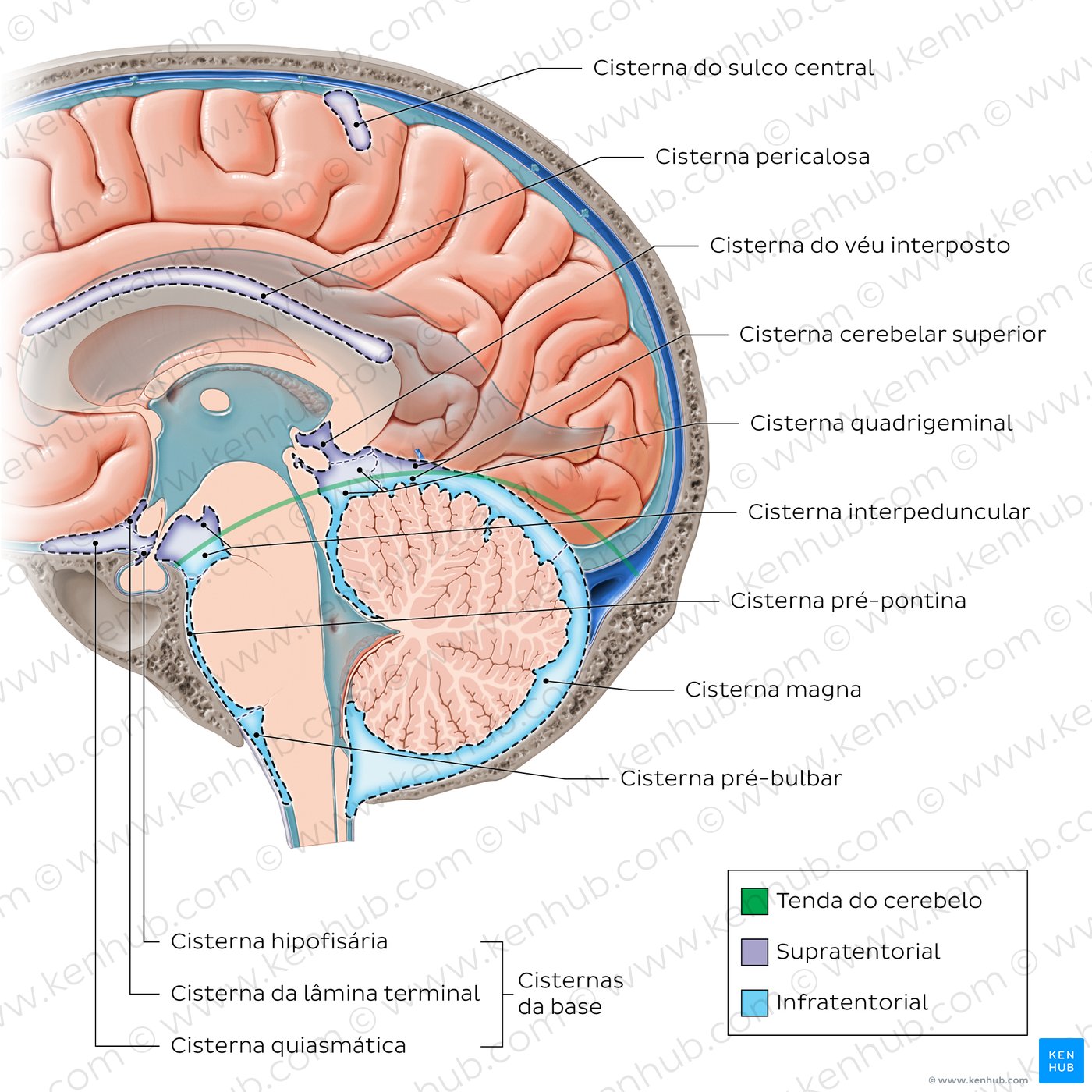 Diagrama das cisternas subaracnóideas
