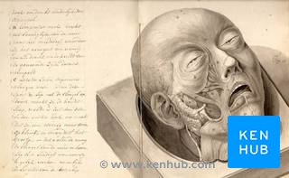 Historische Abhandlung über die Physiognomie