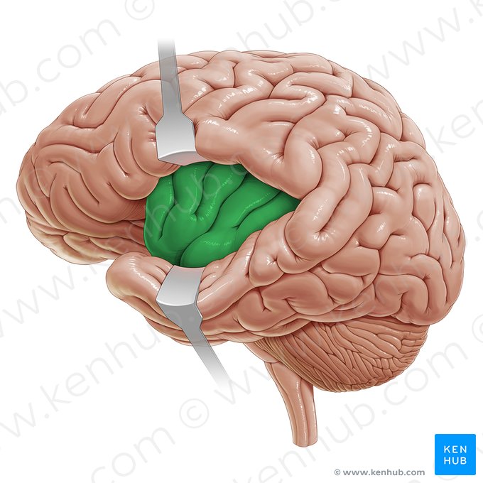Insula; Image: Paul Kim