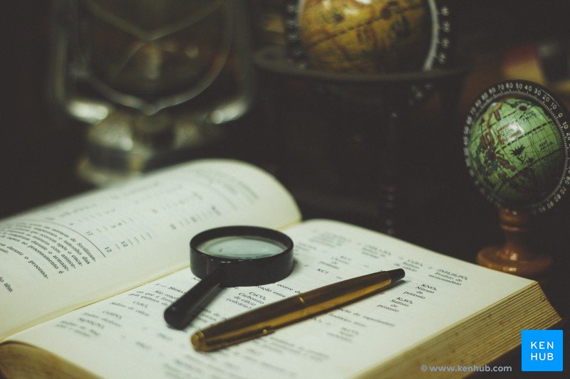 'Searching for knowledge'