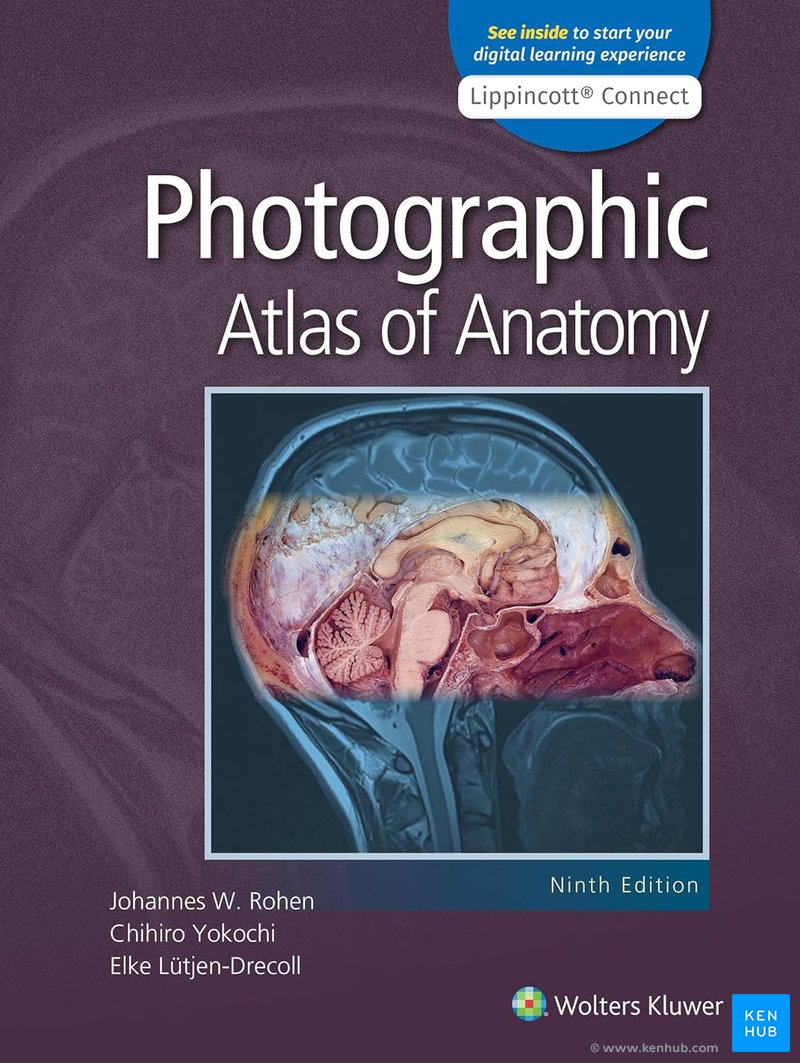 Rohen's Color Atlas of Anatomy: A Photographic Study of the Human Body